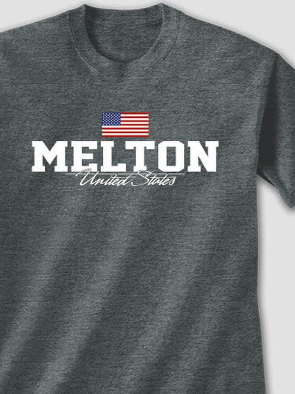 American Flag : Printed T-Shirts