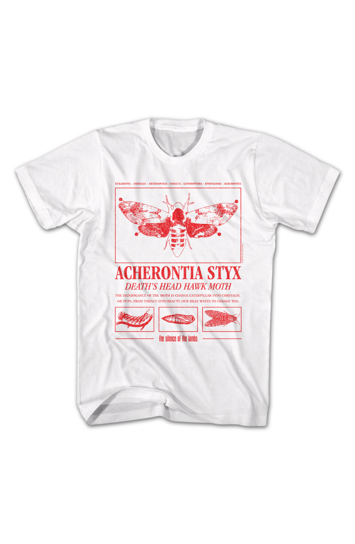 Acherontia Styx Death's Dead Hawk Moth Silence Of The Lambs product image 2