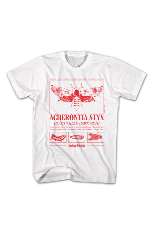 Acherontia Styx Death's Dead Hawk Moth Silence Of The Lambs product image 2