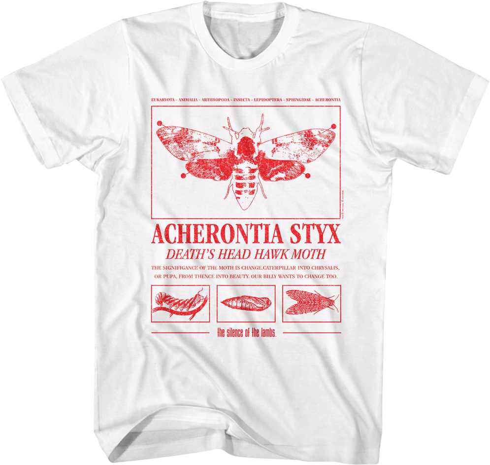 Acherontia Styx Death's Dead Hawk Moth Silence Of The Lambs product image 1