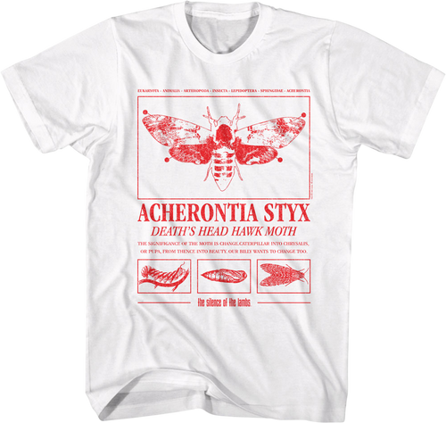 Acherontia Styx Death's Dead Hawk Moth Silence Of The Lambs product image 1
