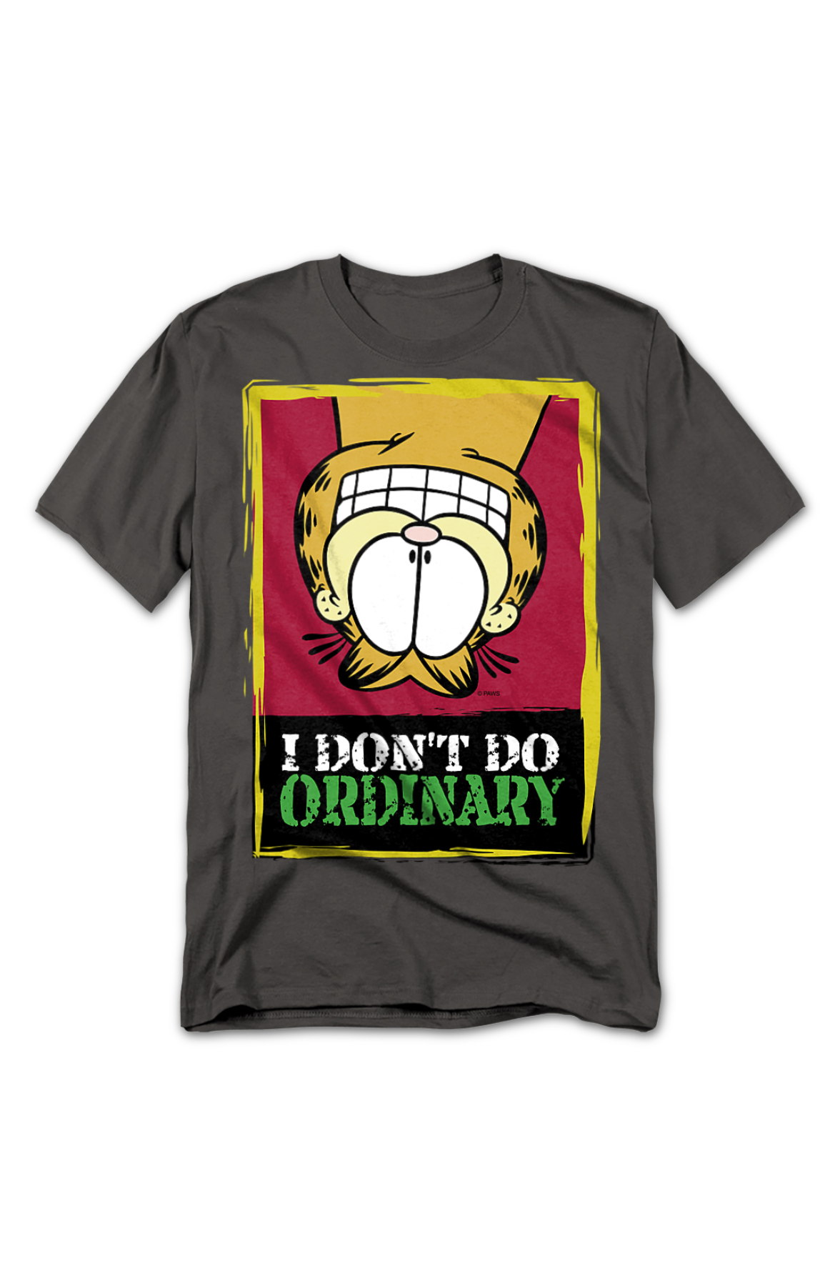 I Don't Do Ordinary Garfield T-Shirt product image 2