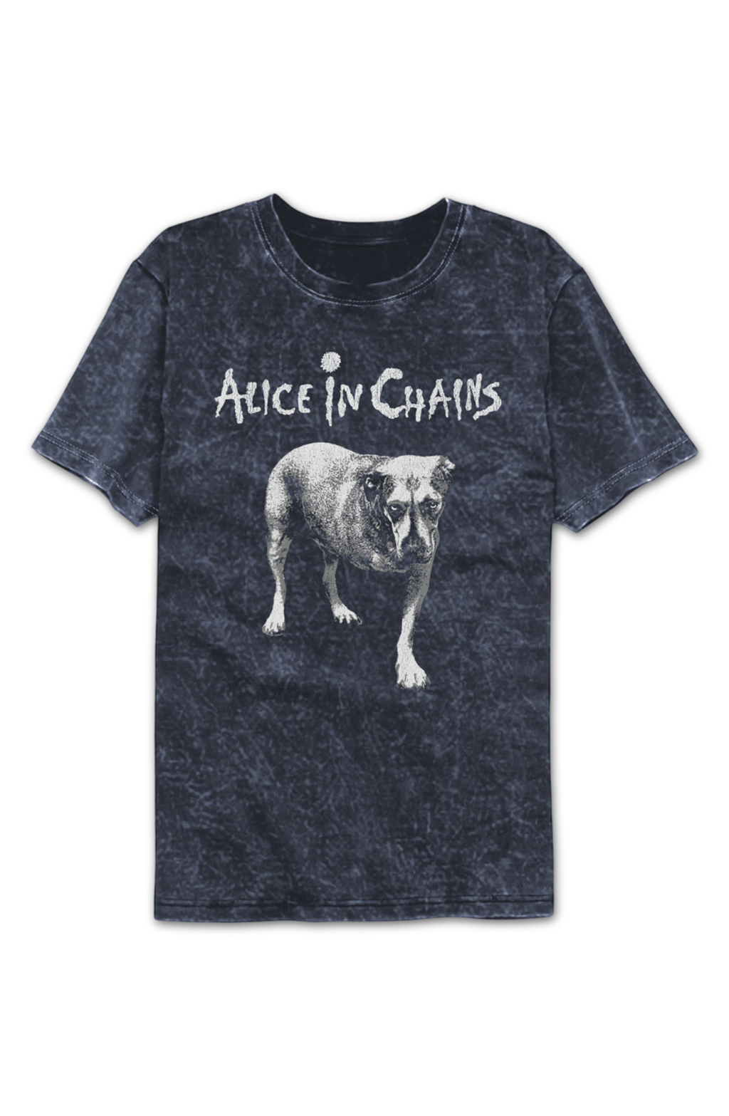 Tripod Alice In Chains Mineral Wash T-Shirt product image 2