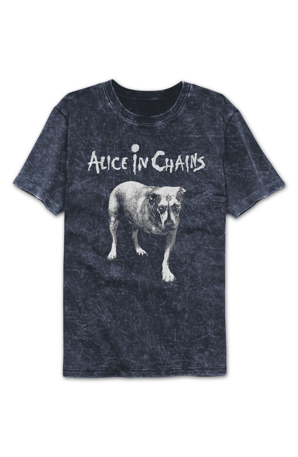 Tripod Alice In Chains Mineral Wash T-Shirt product image 2