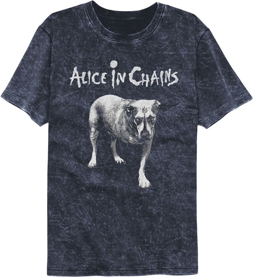 Tripod Alice In Chains Mineral Wash T-Shirt product image 1